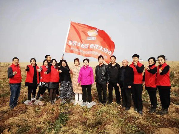 11月12日，眾人翹首以盼的太極莊山藥采挖活動在太極莊公司的溫縣·富硒鐵棍山藥標準化種植基地拉開帷幕