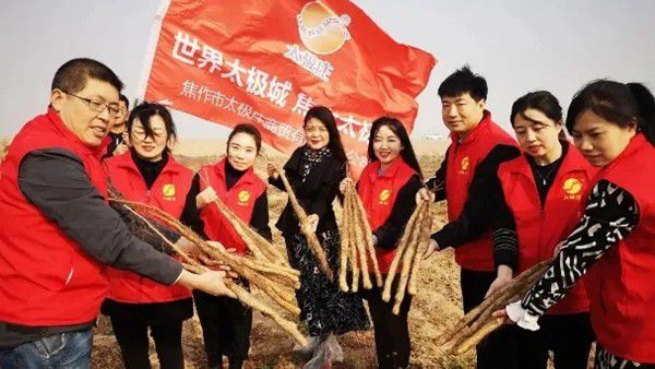 鐵棍山藥規(guī)?；藴驶N植