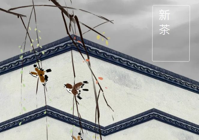 太極莊新菊上市！白菊婉清顏，芳香滿庭院